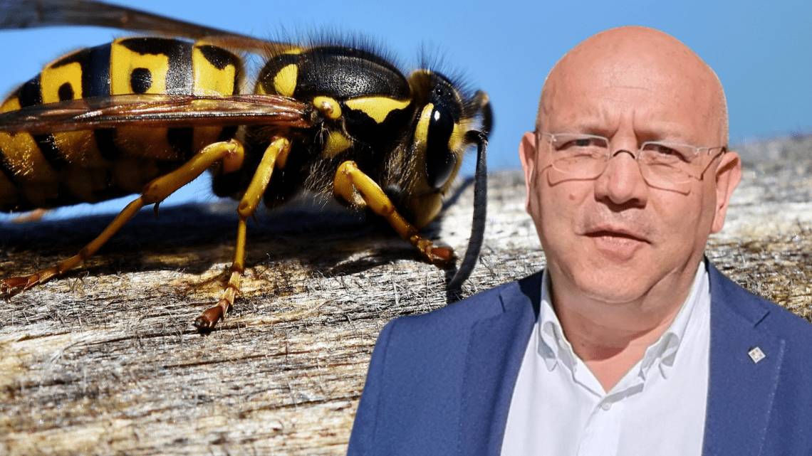 AmbientePiemonte: 50.000 euro per salvare le api dalla minaccia della vespa “velutina”