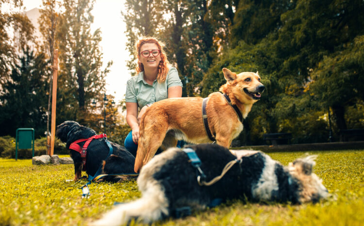  Disposizioni concernenti l’istituzione dell’elenco regionale dei dog sitter